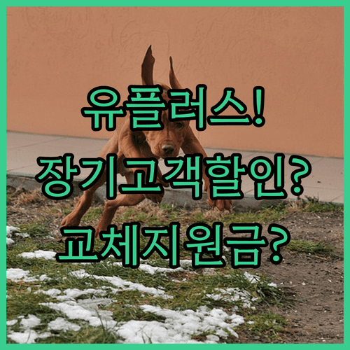image 1cdba1c4