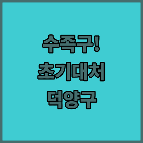 image 4f760a0f