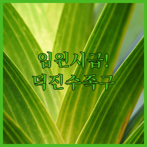 image 5a9345d6